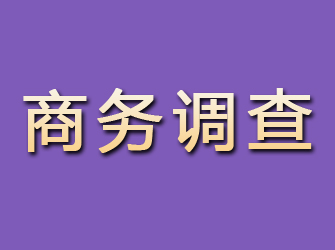 户县商务调查